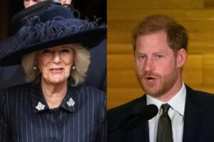 Does Queen Camilla have a secret fondness for Prince Harry?